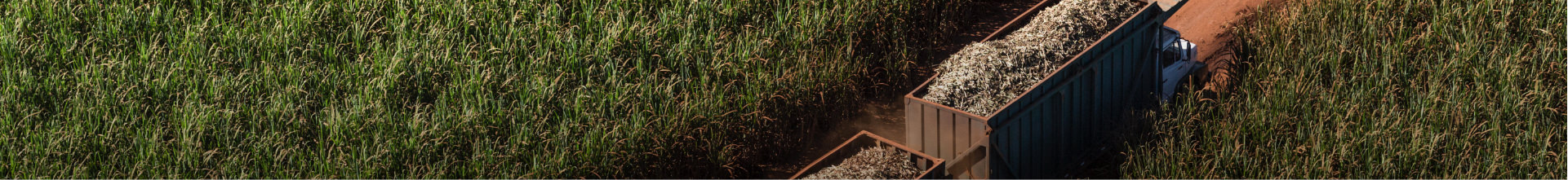 Meio Ambiente - Programas