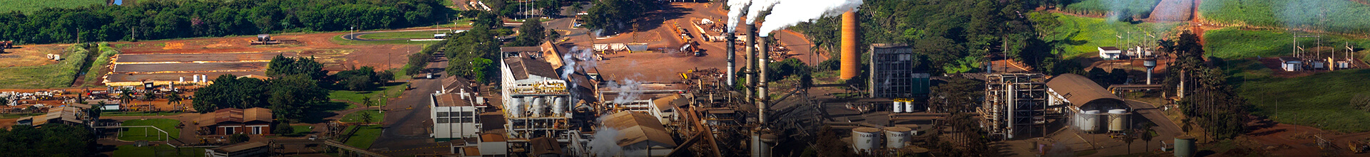 Meio Ambiente - Programas